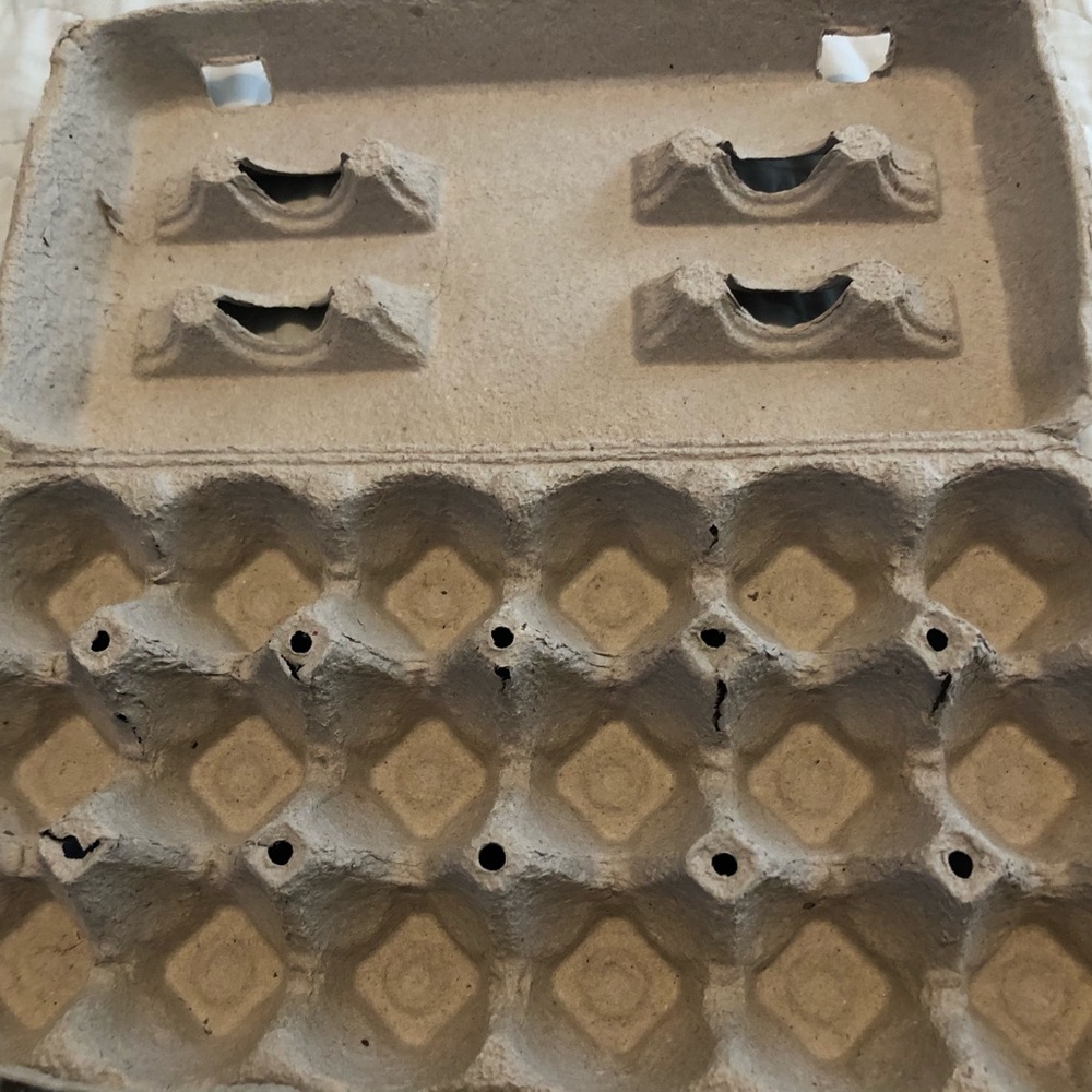 50 Pulp Paper Egg Carton Trays 18 count